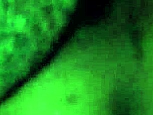 Sucking my king's huge cock