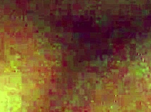 My wife shares amateur moments