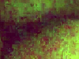 My wife shares amateur moments