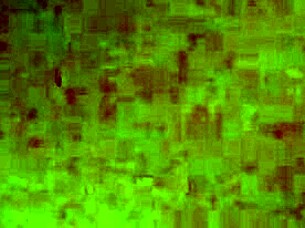 My wife shares amateur moments