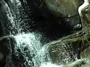 College coeds kiss and lick shaved pussies outdoors with tattoos!