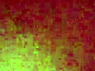 My wife shares amateur moments