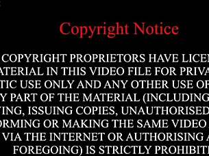 i saw big black dicks fuck pregnant brides