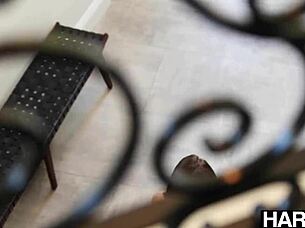 Lavish hottie gets hardcore treatment, ella reese from hardx