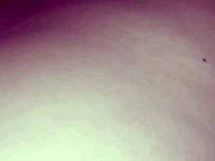 Black mamba big black dick all oiled up