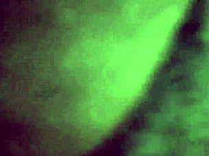 homemade - close-up fuck and amateur creampie wow!