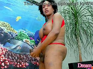 i stroke my monster black cock