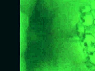 Teen Feels Ecstasy In Big Cock Blowjob Compilation