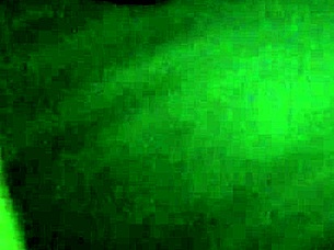 young vietnamese wife chats again in casual conversation