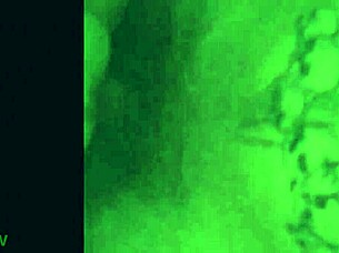 Teen Feels Ecstasy In Big Cock Blowjob Compilation