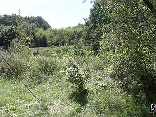 Girl Next Door Gives Risky Camping Blowjob