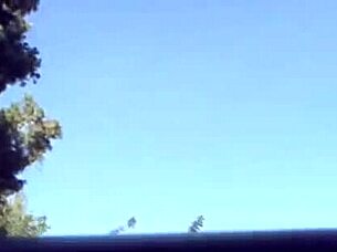 tarra white queen of porn