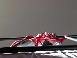 hooded captive swallows eagerly amidst moans and drool