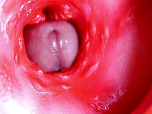 Ever seen a big red cock explode in a juicy hole?