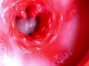 Ever seen a big red cock explode in a juicy hole?