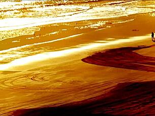 mia vallis flashes tits