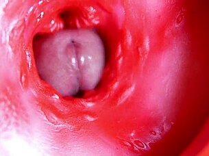 Ever seen a big red cock explode in a juicy hole?