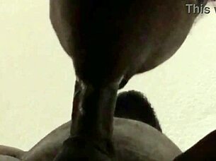 he kept cumming on my ass while i sucked and swallowed the big load in pov