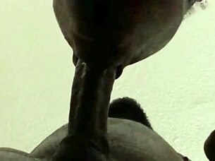 he kept cumming on my ass while i sucked and swallowed the big load in pov