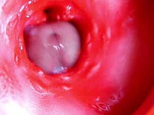 Ever seen a big red cock explode in a juicy hole?