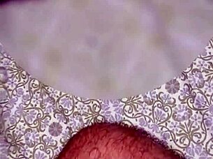 I Love Bondage Sex With Big Cocks