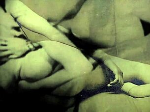 my secret erotic life in vintage silent films