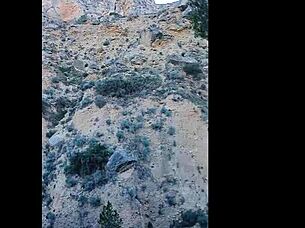 hot milf gets creampie outdoors