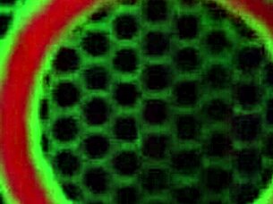 College student stuffs panties in cosplay party!