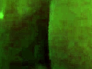 My milf stepmom seduced me in the bathroom and we fucked passionately.