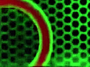 Hot brunette Aubrey Black sucks Rome Majors' monster cock in blowbang, licks it wet, then gets bent over for doggystyle and creampie