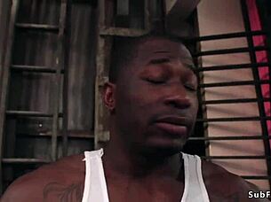 big cock studs fucking horny ebony slave in gangbang domination