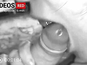 Housewife gives blowjob on sofa