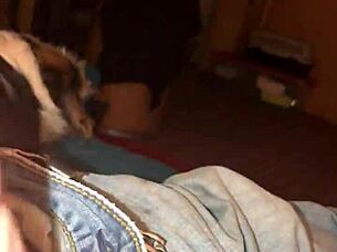 zorra chupa verga y pilonea como profesional