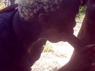 Have you seen this ebony giving the best blowjob ever?