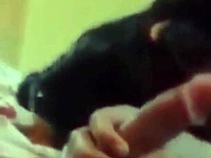 Latina teen sucks boyfriend's cock