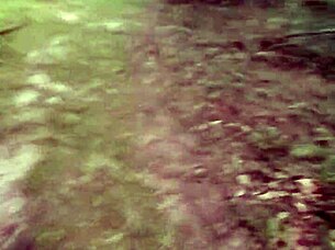 impregnablelexa takes wolfdaddy901s dick bareback and creampie in public park