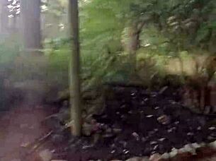 impregnablelexa takes wolfdaddy901s dick bareback and creampie in public park