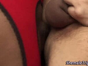 BLACK TRANNY WITH BIG TITS POUNDS ASS HARD IN STOCKINGS