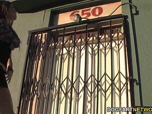 interracial anal sex with mona lee and big black cock