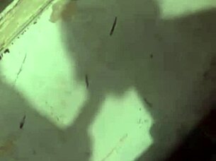 Sorority Girl SNEAKS Into Frat For A Quick VISIT