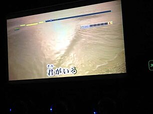 Top Japanese Internet Karaoke Performers Showcase Their Talents Online.