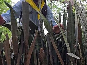 Exploring Emma Anturin's Vagina While Camping!