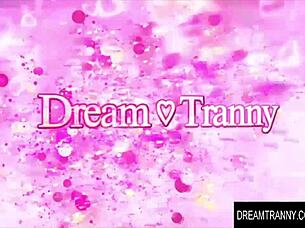 dream tranny barebacks shemale