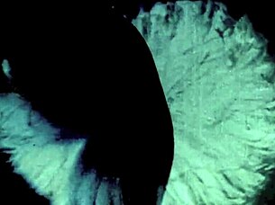 Vintage Taboo Family Confessions from Victorian Era