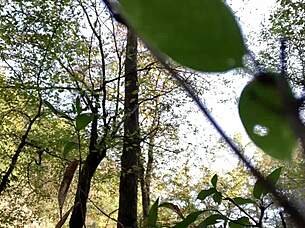 Clitlicker662 - update 11 - img 1170 - oct 11 2024