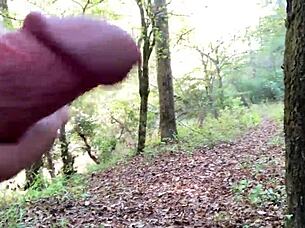 Clitlicker662 - update 11 - img 1170 - oct 11 2024