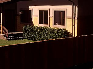 The dominant futa ladyboy uses her big cock to dominate the male in a femdom session