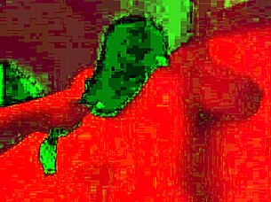 jenny matteo does reverse cowgirl anal so tight