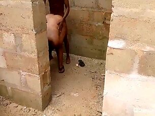 meeting ex girlfriend at new site for doggystyle