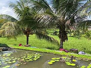 She Eats Pasta Carbonara Covered in Sperm in a Public Cafe